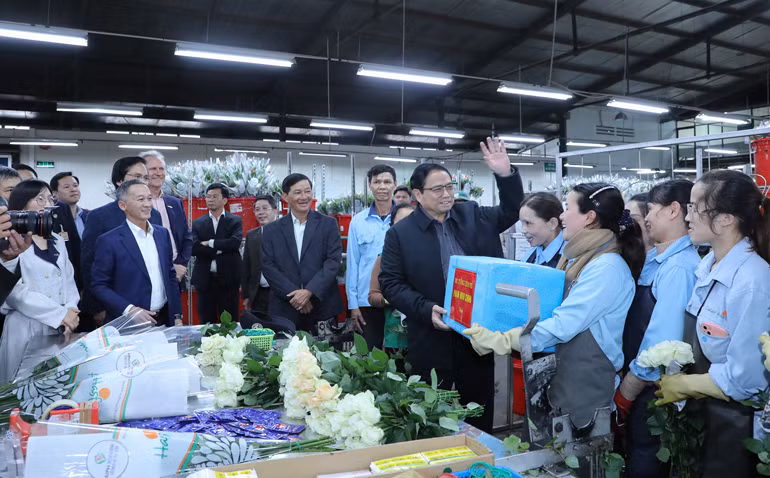 Thủ tướng Phạm Minh Chính tặng quà và thăm hỏi công nhân Công ty Dalat Hasfarm. Ảnh: Nguyễn Nghĩa Thủ tướng Phạm Minh Chính tặng quà và thăm hỏi công nhân Công ty Dalat Hasfarm. Ảnh: Nguyễn Nghĩa