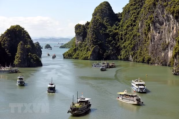Tàu du lịch trên vịnh Hạ Long. Ảnh: Thanh Vân/TTXVN