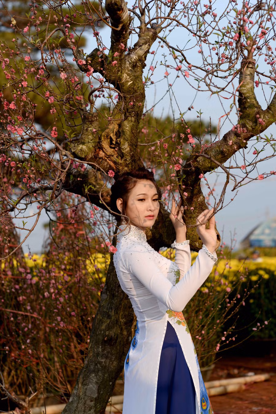 Ảnh: Minh Thi