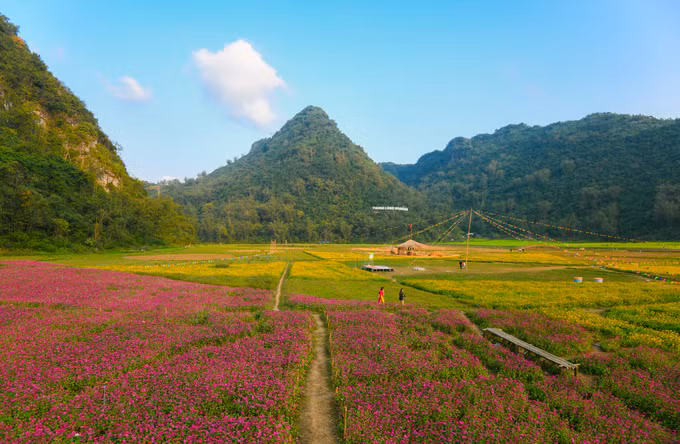 Toàn cảnh thung lũng hoa Bắc Sơn nhìn từ căn chòi cao khoảng 3 m dựng giữa thửa hoa cúc. Chị Lê Thị Quỳnh Trang, thành viên một câu lạc bộ du lịch ở Hà Nội sau một vòng tham quan thung lũng hoa chia sẻ: “Hiện những loại hoa ở đây vẫn khá phổ thông. Mình mong muốn đơn vị khai thác bổ sung thêm những loại hoa độc đáo, gắn với bản sắc địa phương để tạo điểm nhấn với du khách”.