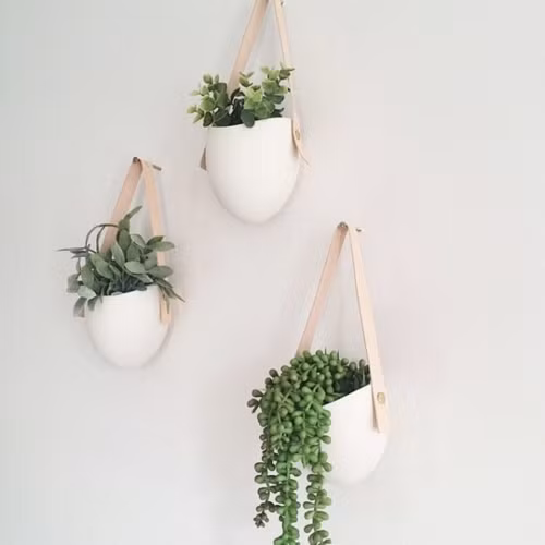 Các loại cây trồng mọng nước đặt trong ly sứ treo tường phù hợp với những ngôi nhà mang phong cách Scandinavian.