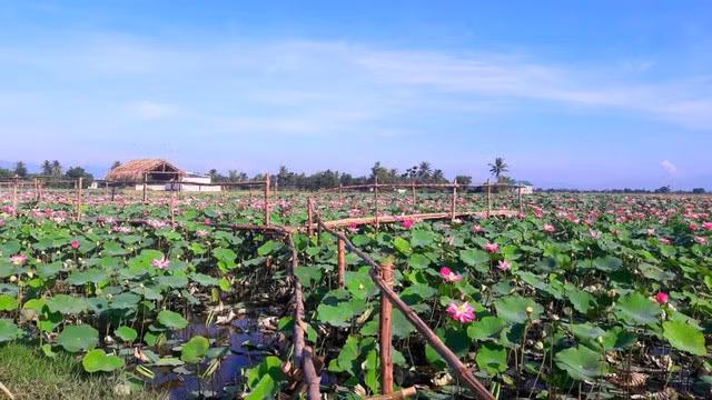 Một góc của Khu du lịch sinh thái Sen Charaih