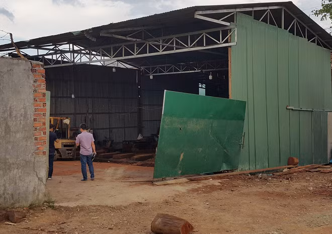  Xưởng nơi Phượng và Kiệt tập kết gỗ lậu. Ảnh: Minh Lộc.