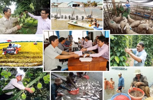 Tăng cường triển khai chính sách tín dụng ưu đãi dành cho hộ nghèo, hộ cận nghèo, hộ mới thoát nghèo và các đối tượng chính sách khác
