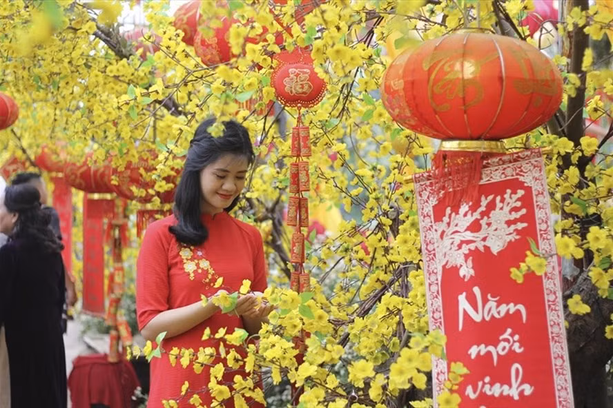 Ảnh minh hoạ TV
