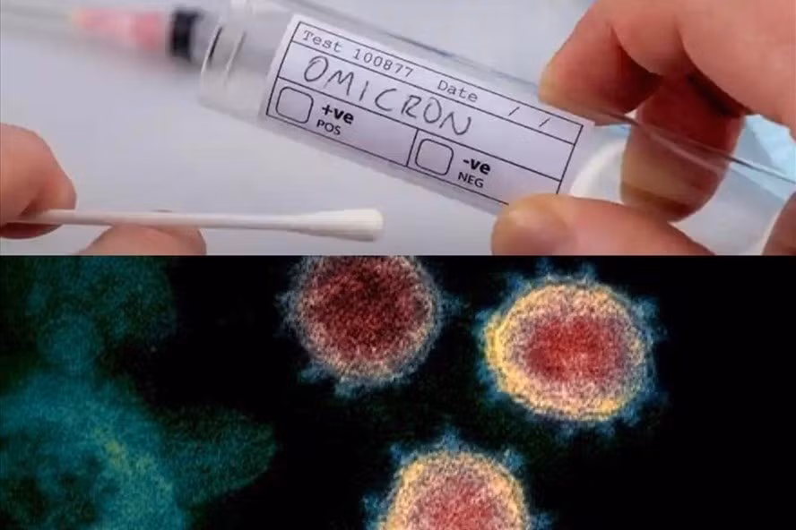 Biến chủng Omicron đã được phát hiện tại Việt Nam. Ảnh đồ họa: Hương Giang