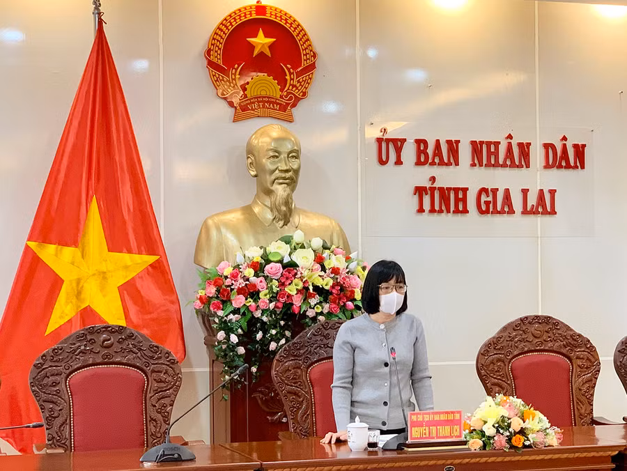  Phó Chủ tịch UBND tỉnh Nguyễn Thị Thanh Lịch phát biểu tại cuộc họp. Ảnh: Như Nguyện 