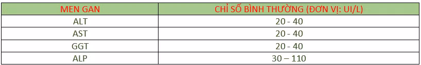 Chỉ số men gan ở mức bình thường. Ảnh: Hồng Nhật