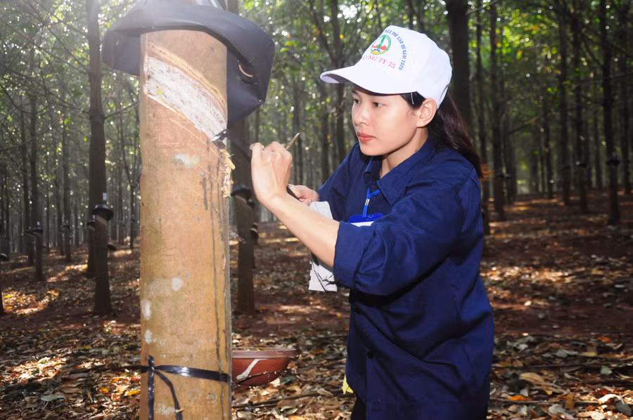 Nữ tuyển thủ thực hiện phần thi thực hành. Ảnh: Hoàng Hiền
