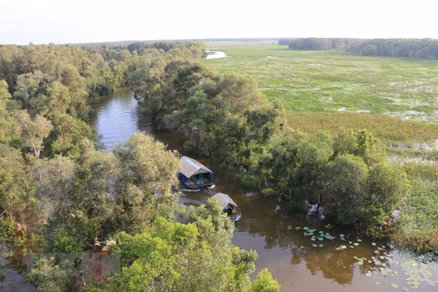 Vườn quốc gia Tràm Chim ở huyện Tam Nông (Đồng Tháp) là khu Ramsar thứ 4 của Việt Nam. (Ảnh: Chương Đài/TTXVN)