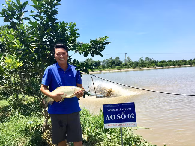 Mô hình nuôi cá VietGAP của anh Lê Văn Lâm (SN 1986) ở xã Quang Lãng, huyện Phú Xuyên, Hà Nội. Ảnh: Thu Hà