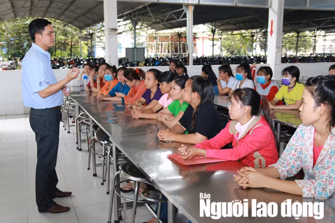 4 trường hợp người lao động phải bồi thường cho người sử dụng lao động ảnh 2 Ảnh minh họa.
