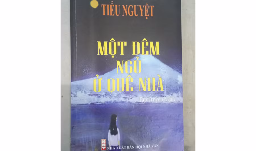  Bìa sách tập truyện Một đêm ngủ ở quê nhà.