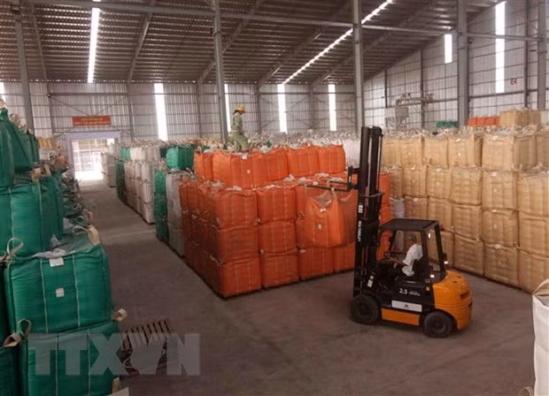 Chuẩn bị nguồn hàng gạo xuất khẩu tại nhà máy của Tập đoàn Lộc Trời (tỉnh An Giang). (Ảnh: Vũ Sinh/TTXVN)
