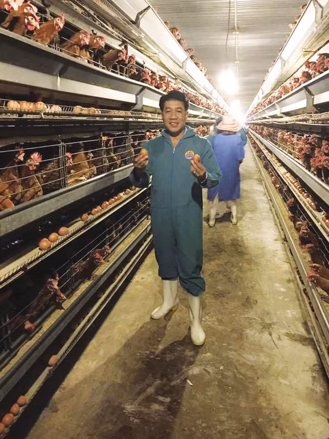 Mô hình nuôi gà an toàn sinh học ứng dụng công nghệ chuống lạnh khép kín tại trang trại gà Thuỳ Thảo thuộc Tập đoàn Hùng Nhơn (tỉnh Bình Phước). Ảnh: Tư liệu