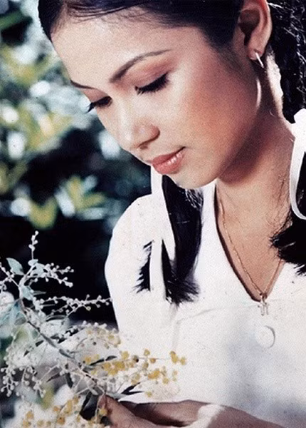 Thời gian đầu, tham gia loạt vai phụ Việt Trinh chưa được khán giả nhớ đến nhiều. Phải đến vai Oanh trong phim Ngọc trong đá (1991) của đạo diễn Trần Cảnh Đôn, cô mới thật sự tỏa sáng.