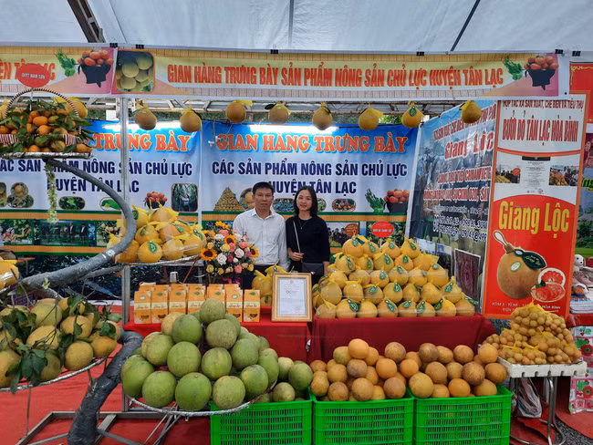 Sản phẩm cây có múi của Hòa Bình trong mấy năm nay được đánh giá cao về chất lượng. Ảnh: X.T