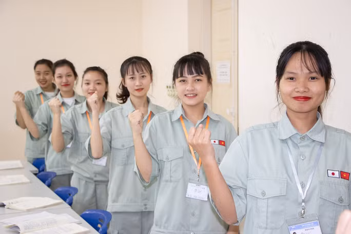  Có 4 hình thức ra nước ngoài làm việc