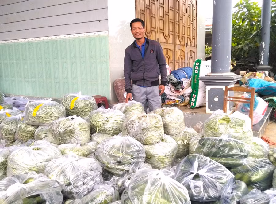 Ông Hoàng Văn Biên (xã Đak Hlơ, huyện Kbang) đóng gói rau quả cung ứng cho siêu thị. Ảnh: Ngọc Minh