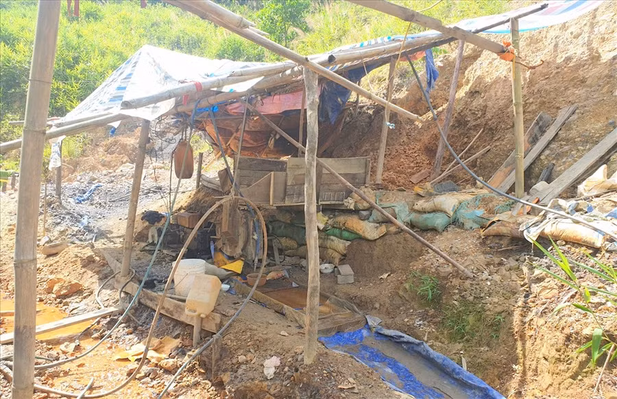 Bãi khai thác vàng nằm trên đất rừng phòng hộ