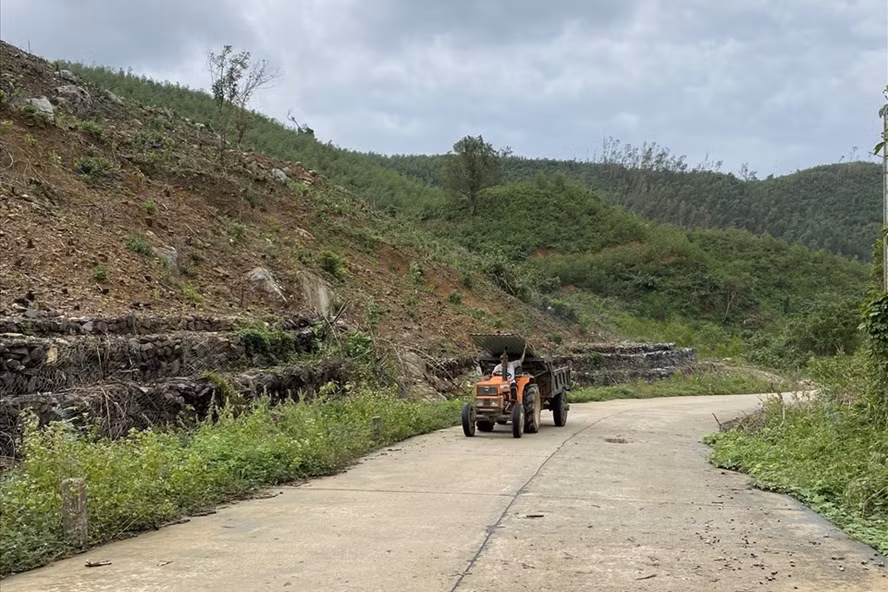  Rừng núi phía Tây trơ trụi, gây nên những trận lũ đá, lũ bùn mỗi mùa mưa bão, cho phía hạ du. Ảnh T.H