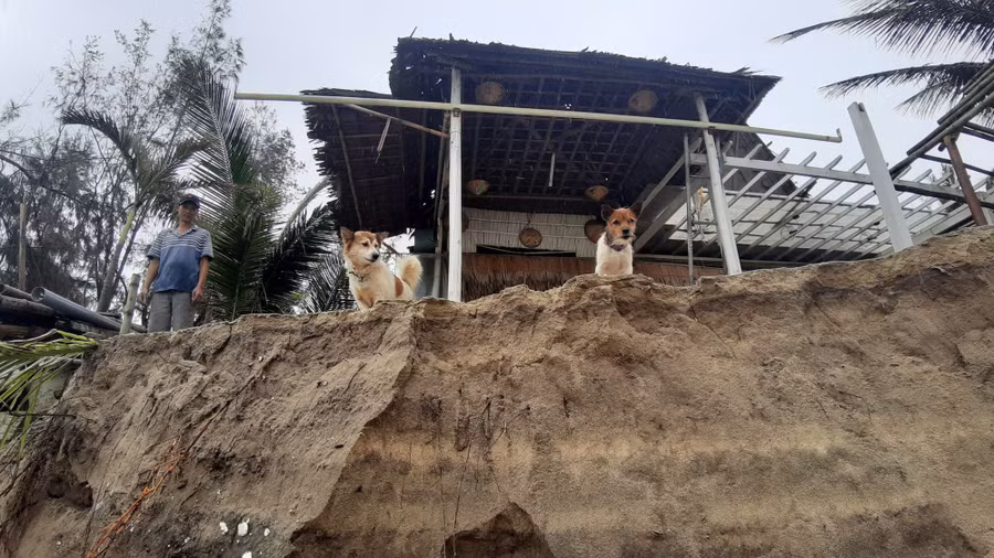 Các hàng quán, cơ sở kinh doanh chỉ xây dựng tạm bợ nên khi gió bão vào rất dễ bị đánh sập.