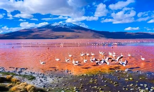  Hồ muối Laguna Colorada ở Bolivia có màu đỏ như máu, do trầm tích lắng đọng và màu sắc của một số loại tảo gây nên. Hồ có chiều dài hơn 10 km, rộng 9,6 km, xung quanh là những đảo muối trắng xóa. Sự kết hợp đầy nổi bật giữa hai màu trắng và đỏ một cách tự nhiên đã khiến hồ trở thành một địa điểm thú vị. Ảnh: iStock.