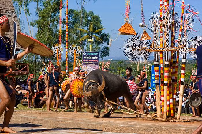 Lễ Hội Đâm Trâu. Lễ Hội Đâm Trâu.