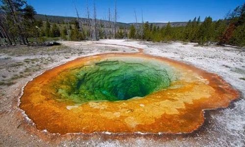 Hồ Morning Glory bắt nguồn từ một mạch phun nước nóng ở Công viên quốc gia Yellowstone, Wyoming, Mỹ. Hồ có màu sắc sặc sỡ do vi khuẩn chịu nhiệt (thermophile) phát triển mạnh ở nhiệt độ khắc nghiệt. Ảnh: iStock.