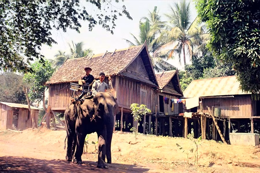  Voi đi qua không gian bản làng với kiến trúc kiểu Lào. Ảnh: N.H.T