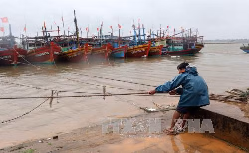 Người dân giằng néo tàu thuyền tại âu thuyền Cửa Việt (Quảng Trị) để tránh bão số 4.