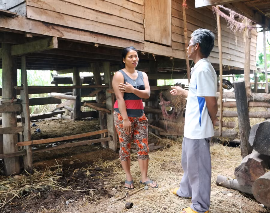 Chị HLoanh kể lại những triệu chứng trước khi bò của mình bị chết. Ảnh: Q.T