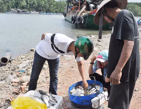 Sản vật vùng nước lợ được đánh bắt tự nhiên rồi đem bán cho khách du lịch.