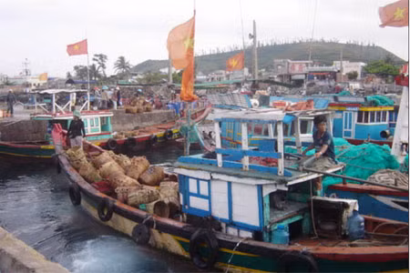46.000 tàu thuyền về nơi trú ẩn an toàn ảnh 1