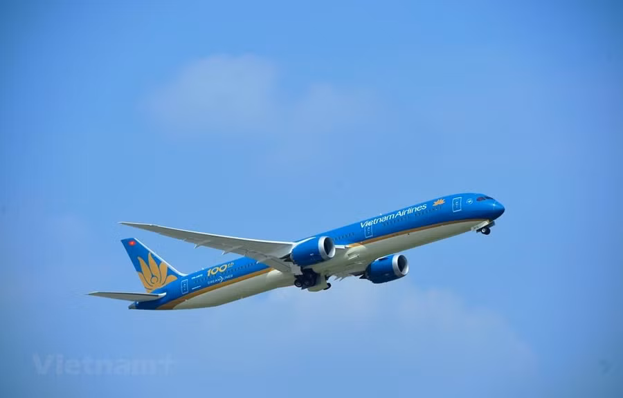 Vietnam Airlines đặt mục tiêu giữ thị phần số 1 tại nội địa. (Ảnh: CTV/Vietnam+)