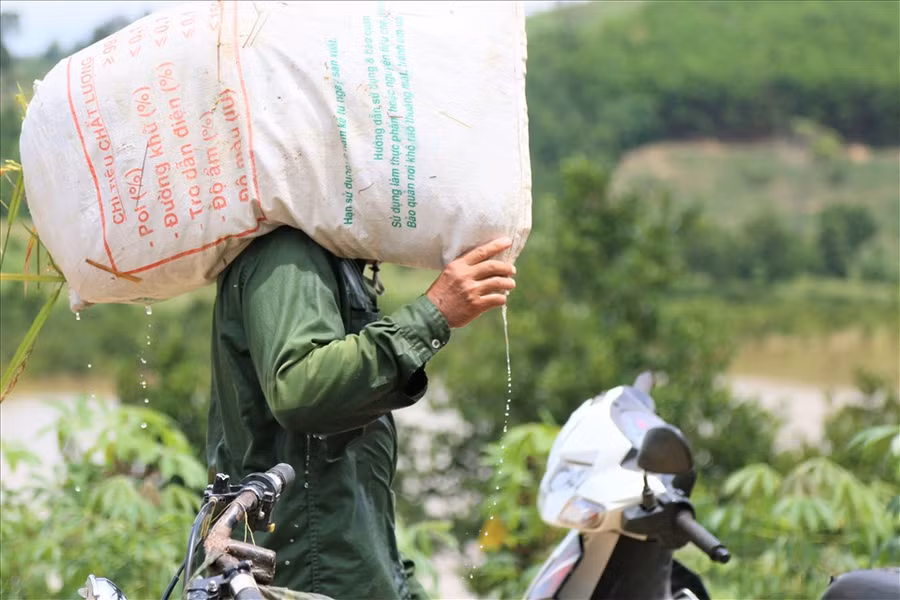 Ông Giàng Seo Páo, (thôn 9, xã Cư San) tâm sự: ''Những ngày này, bà con trong thôn phải tranh thủ ra đồng cắt lúa, ngâm mình dưới nước nhiều giờ rất khó nhọc, có nguy cơ mất trắng cả mùa vụ. Chỉ mong chính quyền sớm bồi thường đất, bố trí tái định cư để chúng tôi đỡ khổ''. Ảnh: Bảo Trung Ông Giàng Seo Páo, (thôn 9, xã Cư San) tâm sự: ''Những ngày này, bà con trong thôn phải tranh thủ ra đồng cắt lúa, ngâm mình dưới nước nhiều giờ rất khó nhọc, có nguy cơ mất trắng cả mùa vụ. Chỉ mong chính quyền sớm bồi thường đất, bố trí tái định cư để chúng tôi đỡ khổ''. Ảnh: Bảo Trung