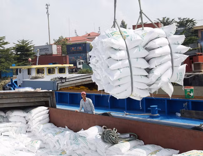 Giá gạo xuất khẩu của Việt Nam đã vượt Thái Lan. Ảnh tư liệu