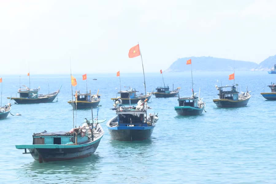 Những con thuyền neo đậu ngoài đảo Cù Lao Chàm ẢNH: NGUYỄN VĂN CÔNG