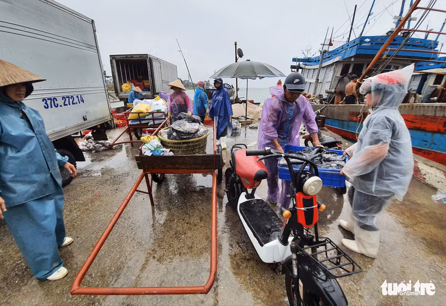 Cá thu được thương lái mua nhiều nhất - Ảnh: DOÃN HÒA
