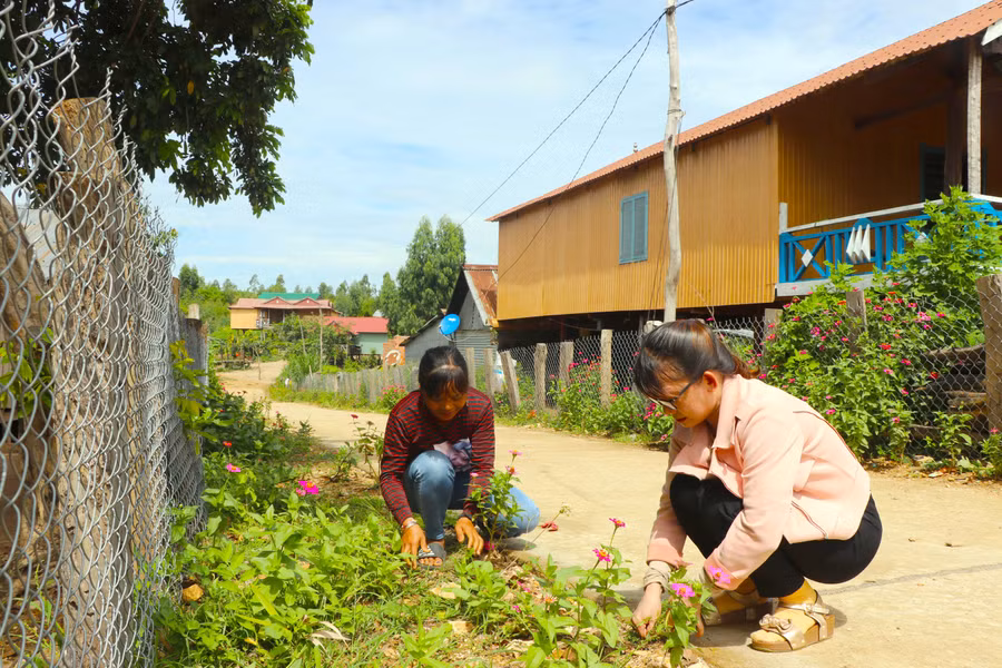Phụ nữ làng Kươk (xã Sró, huyện Kông Chro) chăm sóc những luống hoa. Ảnh: Ngọc Minh