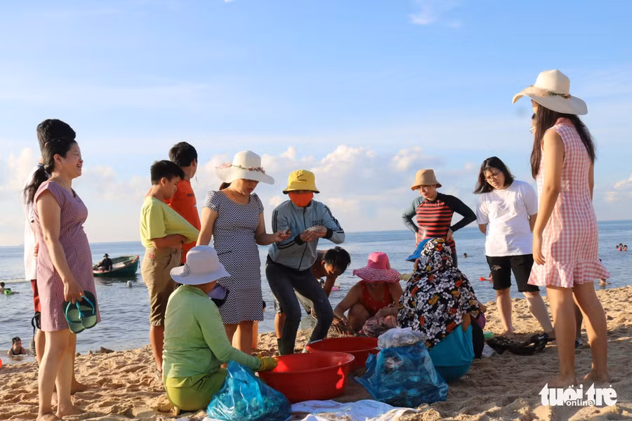 Nhiều tiểu thương có mặt ngay tại bờ biển để thu mua hải sản mang ra chợ bán - Ảnh: THANH NGÂN