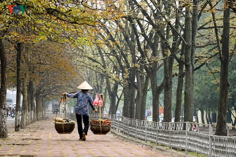 Và nón lá nhiều khi cũng tạo nên vẻ đẹp dung dị mà lãng mạn.