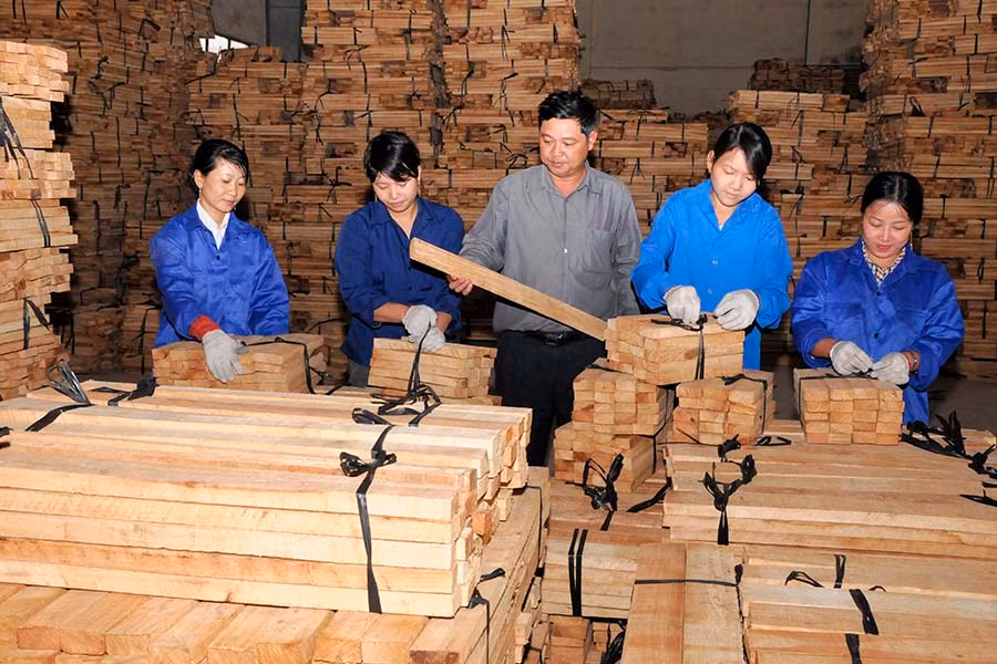 Tại Nhà máy Chế biến gỗ cao su.