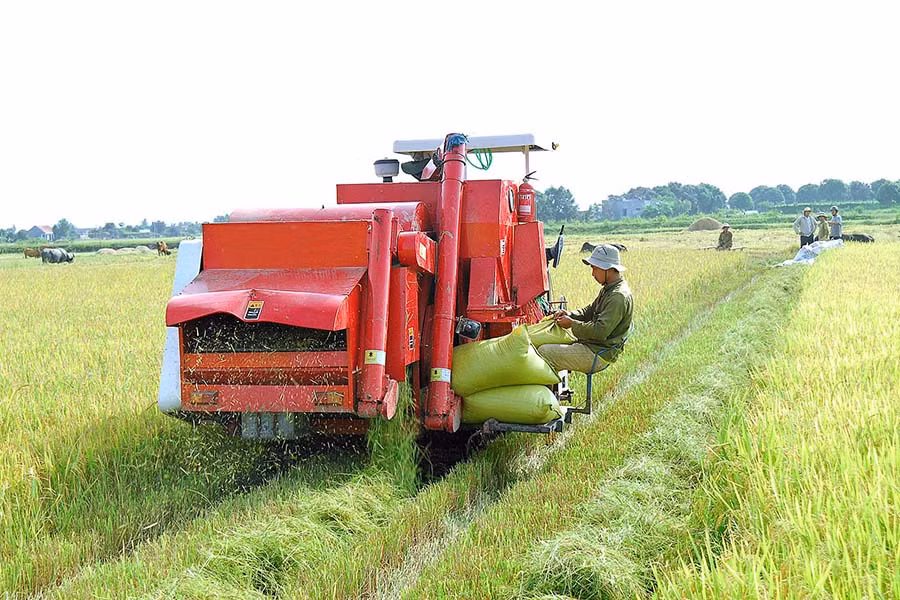 Sản xuất lúa nước là thế mạnh của huyện Phú Thiện. Sản xuất lúa nước là thế mạnh của huyện Phú Thiện.