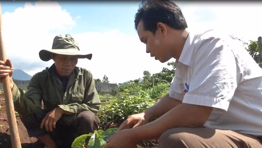 Anh Y Bên (người mặc áo trắng) đang hướng dẫn người dân cách chăm sóc cây cà phê. Ảnh: D.Q Anh Y Bên (người mặc áo trắng) đang hướng dẫn người dân cách chăm sóc cây cà phê. Ảnh: D.Q