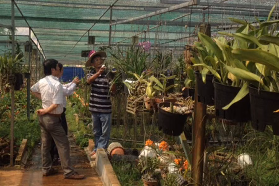  Ông Nguyễn Văn Long (bên phải) đang giới thiệu hoa lan cho khách. Ảnh: S.C