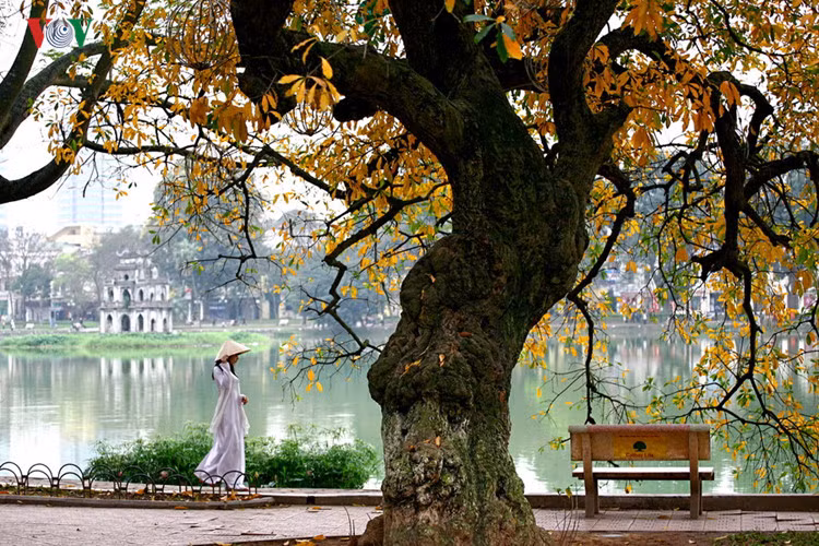 Nón lá cũng gắn liền với tà áo dài, là nét duyên dáng, tinh tế, lãng mạn rất Việt Nam.