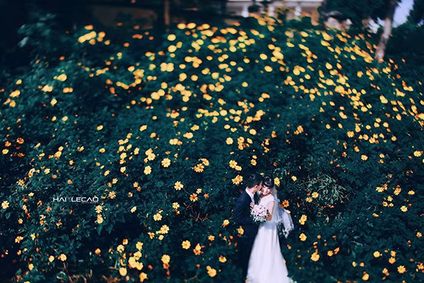 Nhắc đến địa điểm chụp ảnh cưới ở Ba Vì chắc hẳn Nhà thờ đổ Ba vì là địa điểm đầu tiên được nhắc đến. Những tán cây hòa cùng bức tường rêu phong tại nơi đây rất thích hợp để chụp ảnh theo phong cách cổ điển hoặc những phong cách độc và lạ. Ảnh: hailecao​