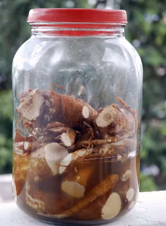 Hủ rượu sâm gây ngộ độc được thu giữ. Ảnh: Nguyễn Giác Hủ rượu sâm gây ngộ độc được thu giữ. Ảnh: Nguyễn Giác