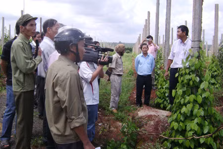 Tham quan mô hình sản xuất, kinh doanh giỏi của cựu chiến binh Ngô Công Đoan. Ảnh: Lê Hòa